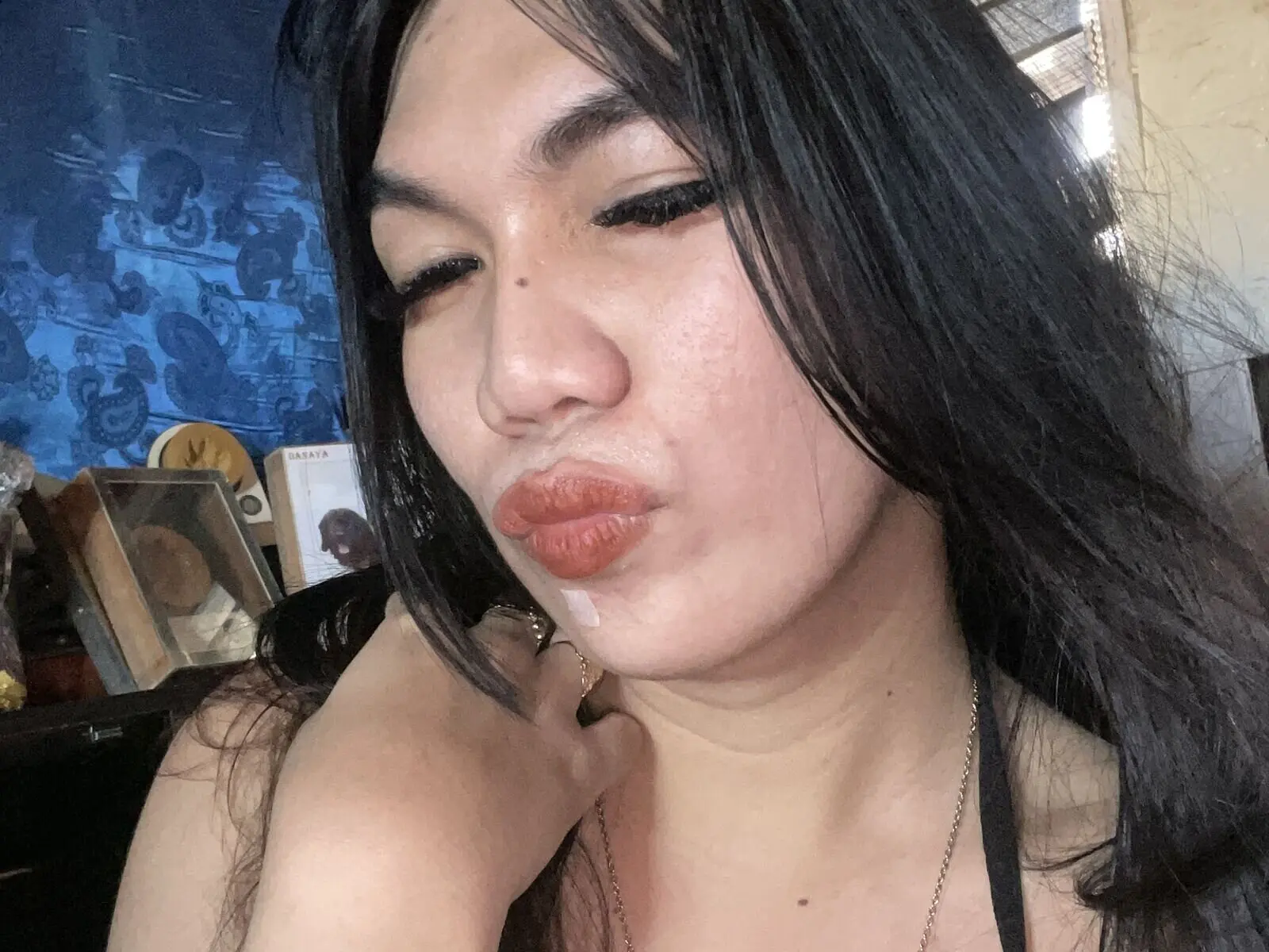 Discover Ametis VIP show